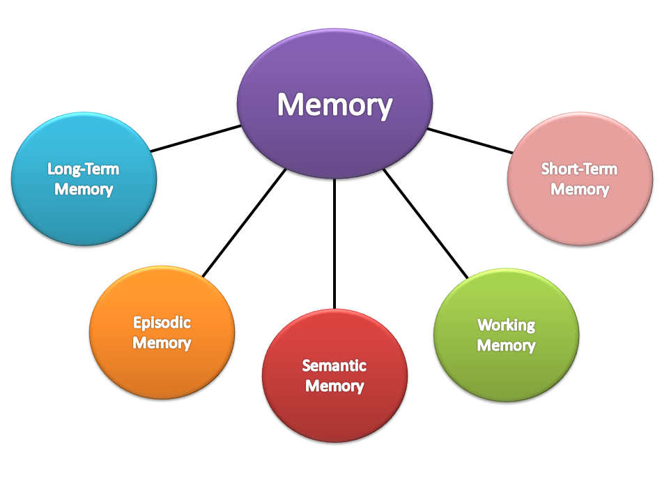 Types of Memory graphic.png